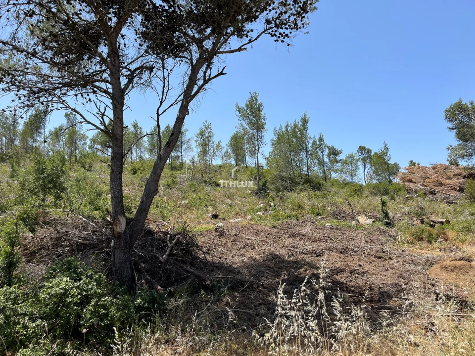 Terreno para Venda em Alcabideche Foto 8