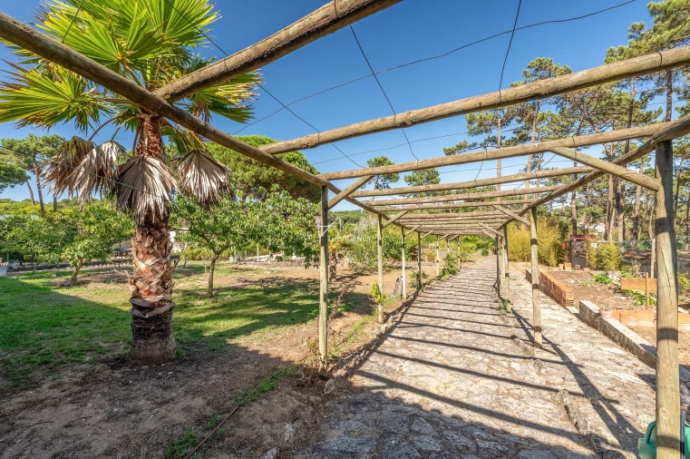 Quinta T4 para Venda em Colares Foto 27