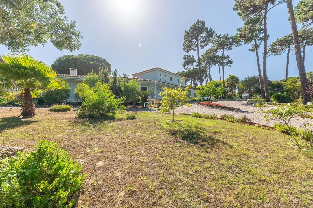 Quinta T4 para Venda em Colares Foto 19