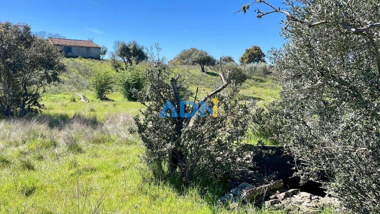 Terreno para Venda em Rosmaninhal Foto 5