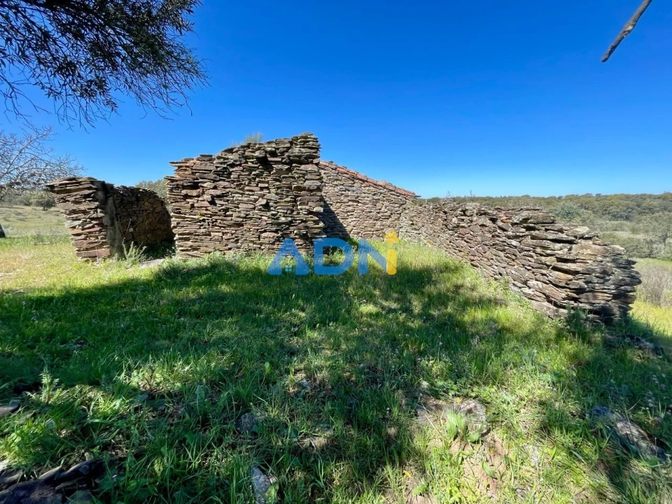 Terreno para Venda em Rosmaninhal Foto 3