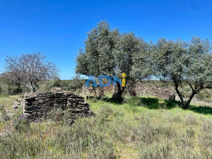 Terreno para Venda em Rosmaninhal Foto 7