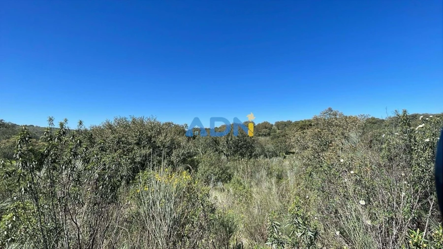 Terreno para Venda em Rosmaninhal Foto 12