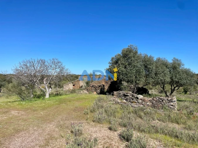 Terreno para Venda em Rosmaninhal Foto 8