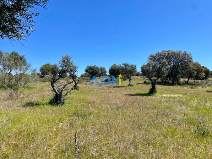 Terreno para Venda em Rosmaninhal Foto 13