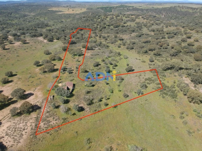 Terreno para Venda em Rosmaninhal