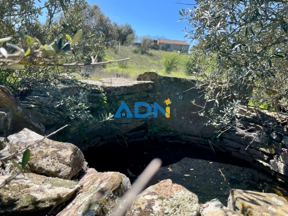 Terreno para Venda em Rosmaninhal Foto 6