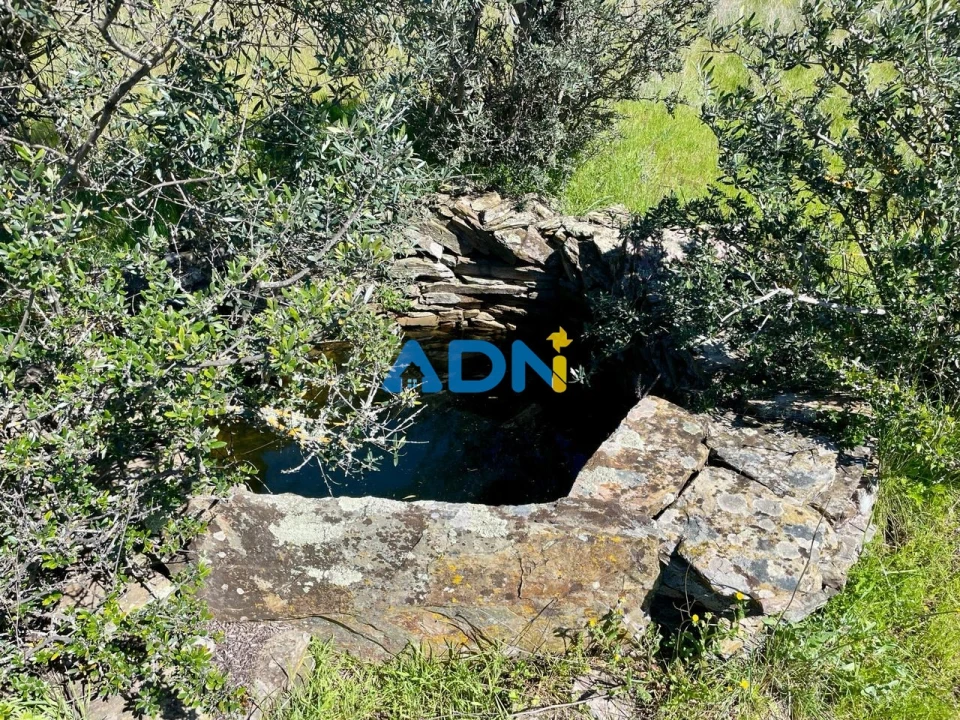 Terreno para Venda em Rosmaninhal Foto 4