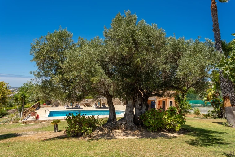 Moradia T4 para Venda em Santa Barbara de Nexe Foto 4