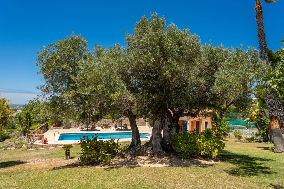 Moradia T4 para Venda em Santa Barbara de Nexe Foto 4