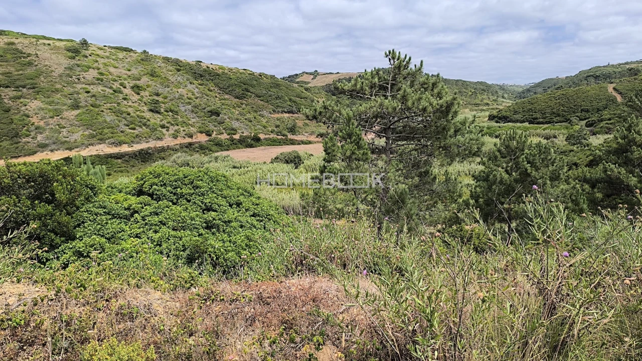 Terreno para Venda em Agualva e Mira-Sintra Foto 3