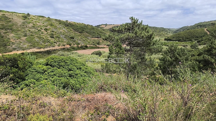 Terreno para Venda em Agualva e Mira-Sintra Foto 3