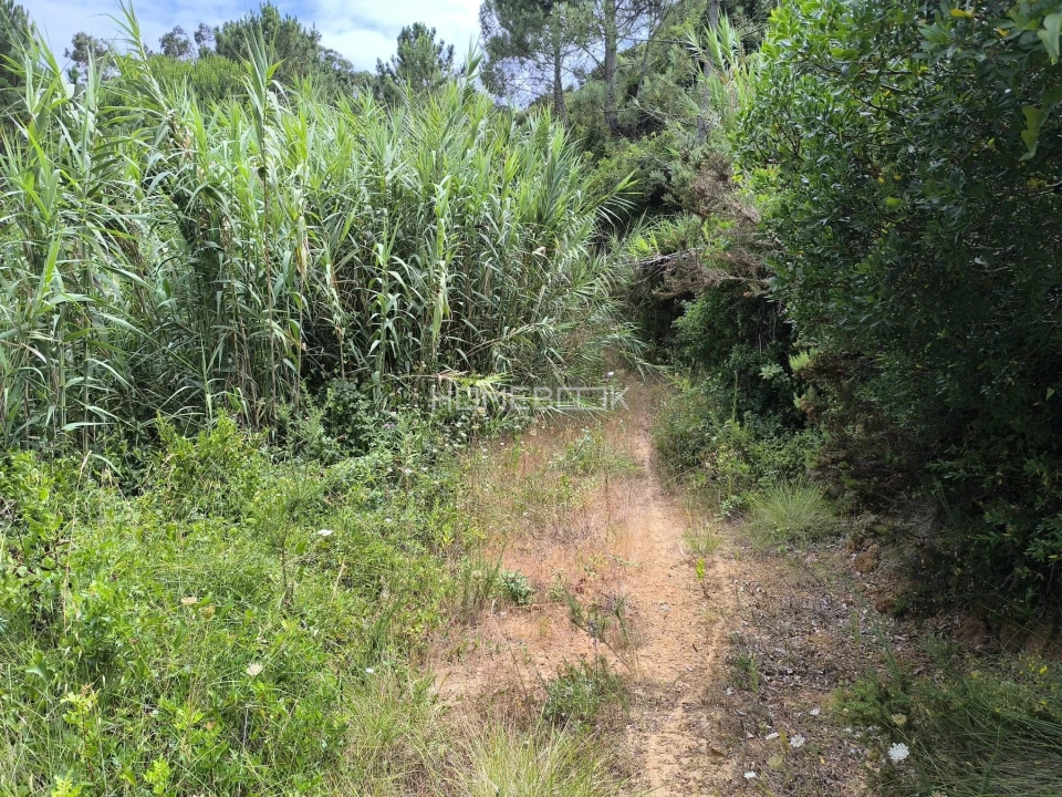 Terreno para Venda em Agualva e Mira-Sintra Foto 2