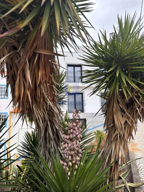 Apartamento T2 para Venda em Nazare