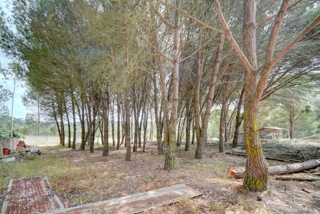 Moradia T3 para Venda em Alcoentre Foto 47