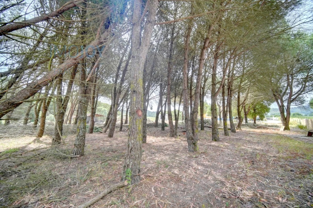 Moradia T3 para Venda em Alcoentre Foto 48