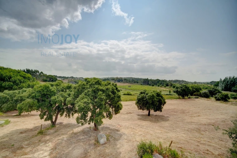 Moradia T3 para Venda em Alcoentre Foto 35