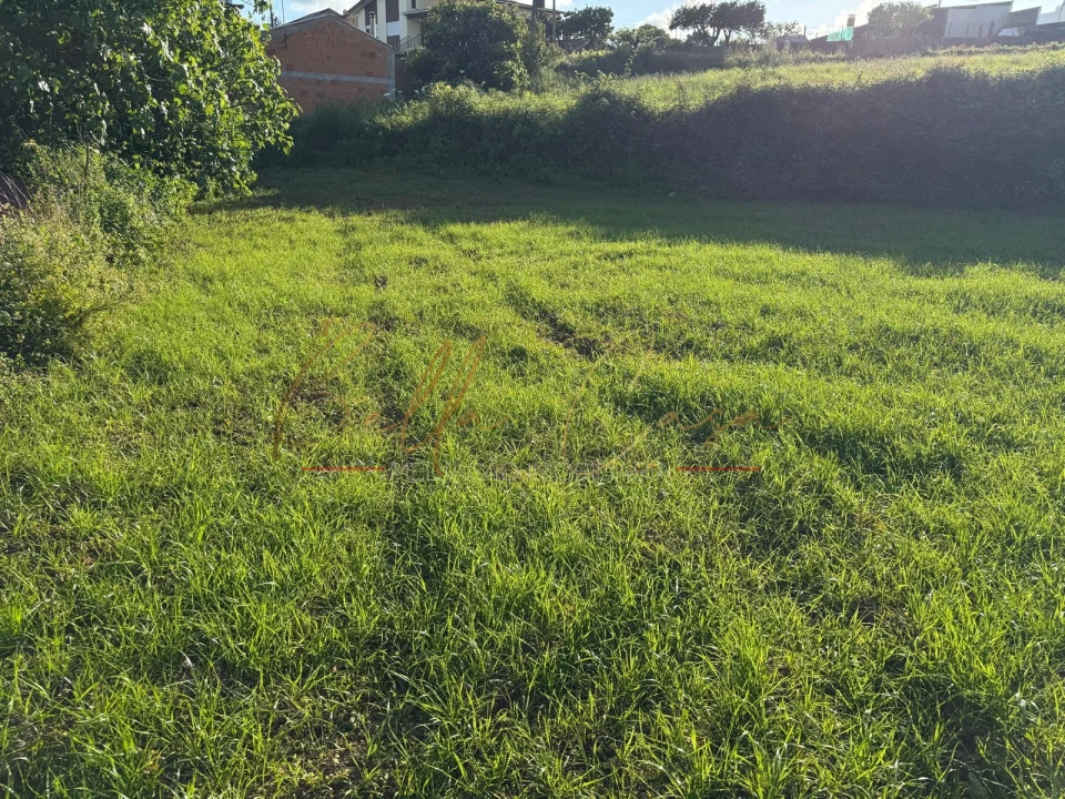 Terreno Misto para Venda em Beduído e Veiros Foto 16