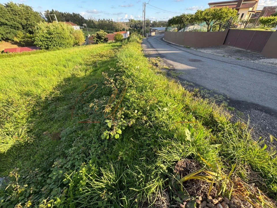 Terreno Misto para Venda em Beduído e Veiros Foto 6