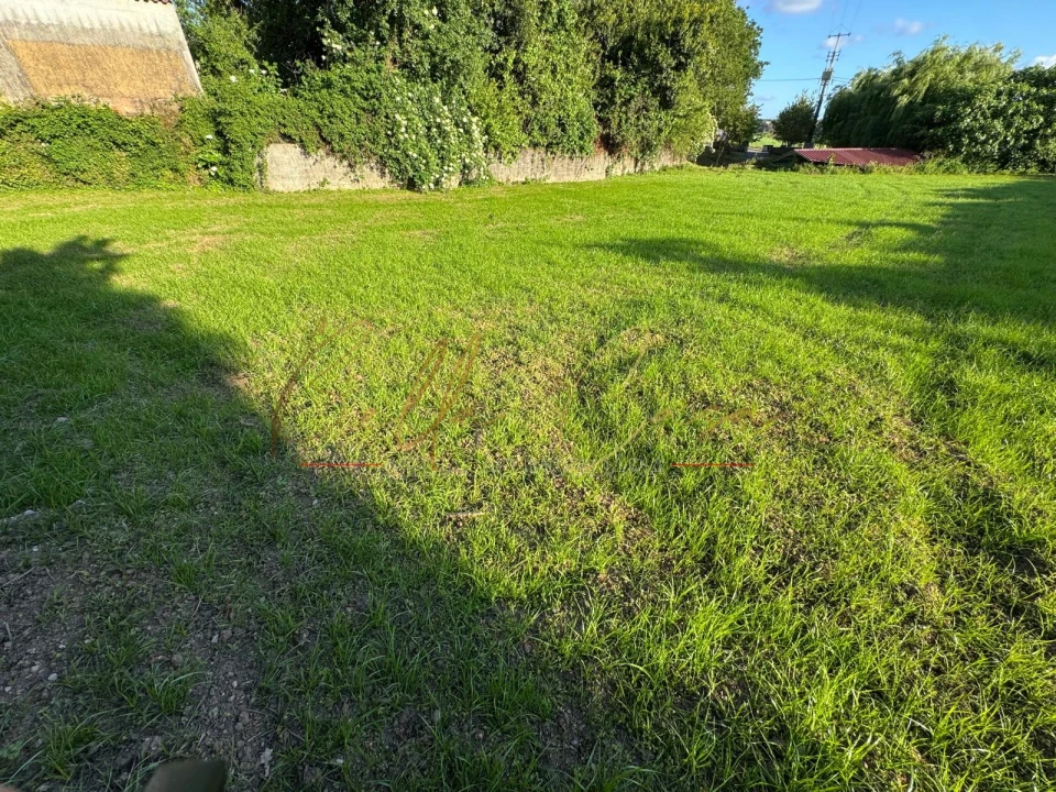 Terreno Misto para Venda em Beduído e Veiros Foto 20