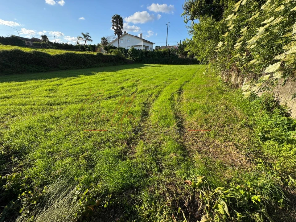 Terreno Misto para Venda em Beduído e Veiros Foto 11
