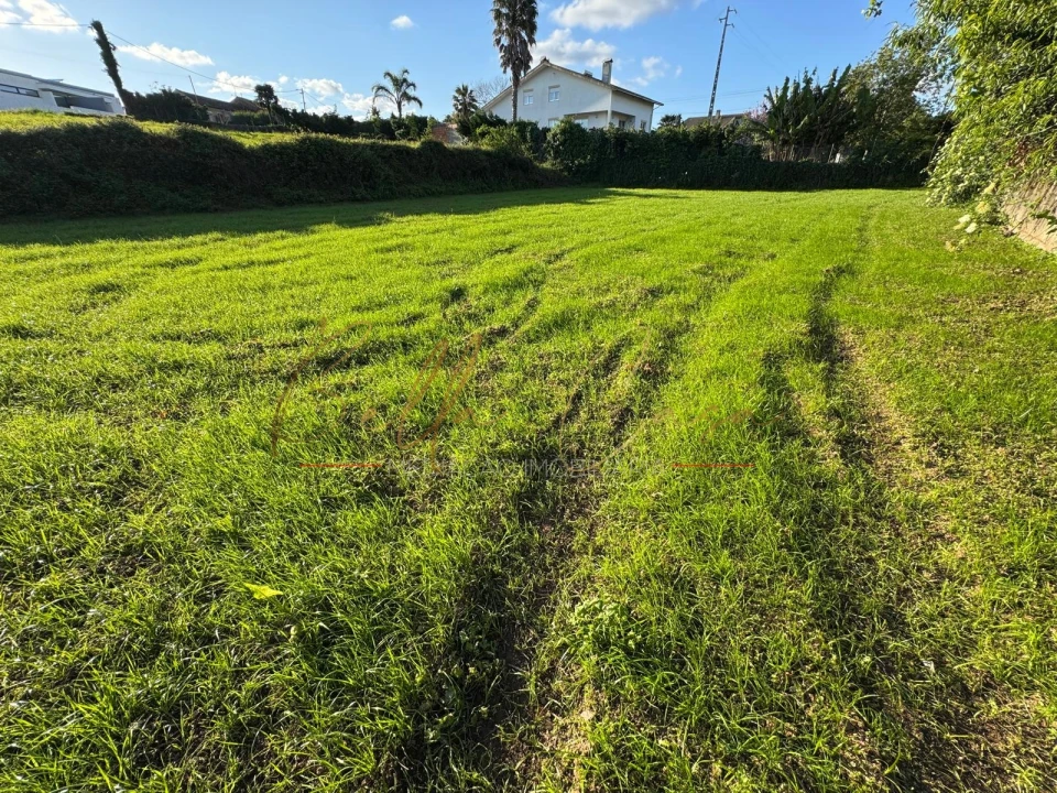 Terreno Misto para Venda em Beduído e Veiros Foto 13