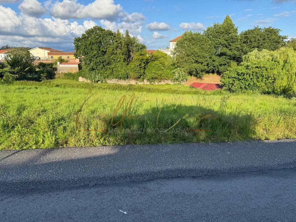 Terreno Misto para Venda em Beduído e Veiros Foto 7