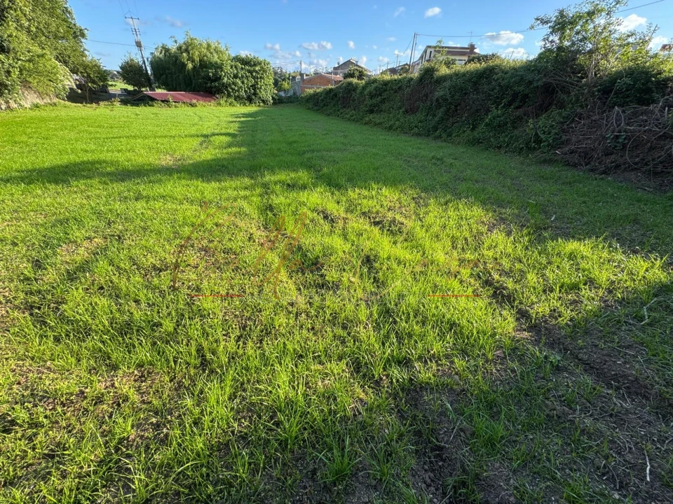 Terreno Misto para Venda em Beduído e Veiros Foto 19