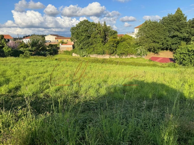 Terreno Misto para Venda em Beduído e Veiros Foto 9