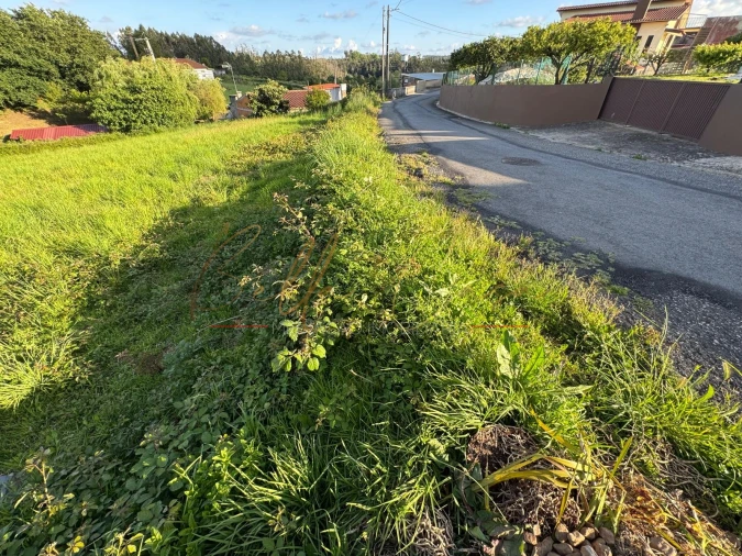 Terreno Misto para Venda em Beduído e Veiros Foto 6
