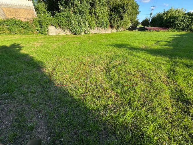 Terreno Misto para Venda em Beduído e Veiros Foto 20