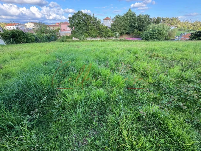 Terreno Misto para Venda em Beduído e Veiros Foto 4