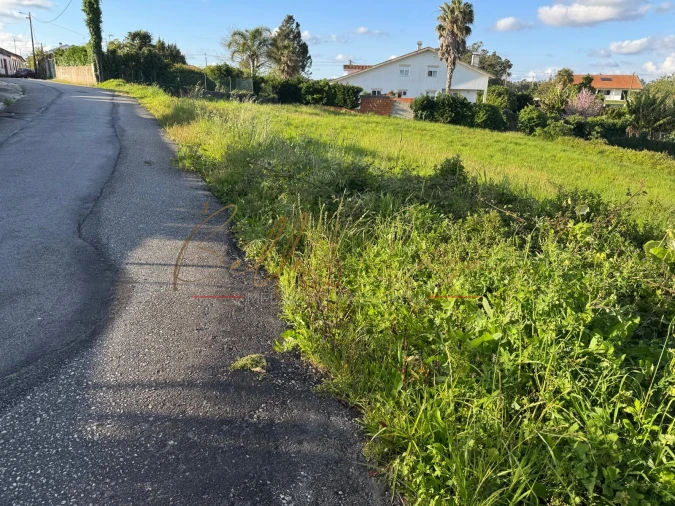 Terreno Misto para Venda em Beduído e Veiros Foto 10
