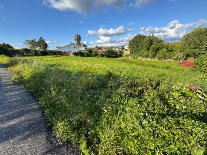 Terreno Misto para Venda em Beduído e Veiros Foto 2