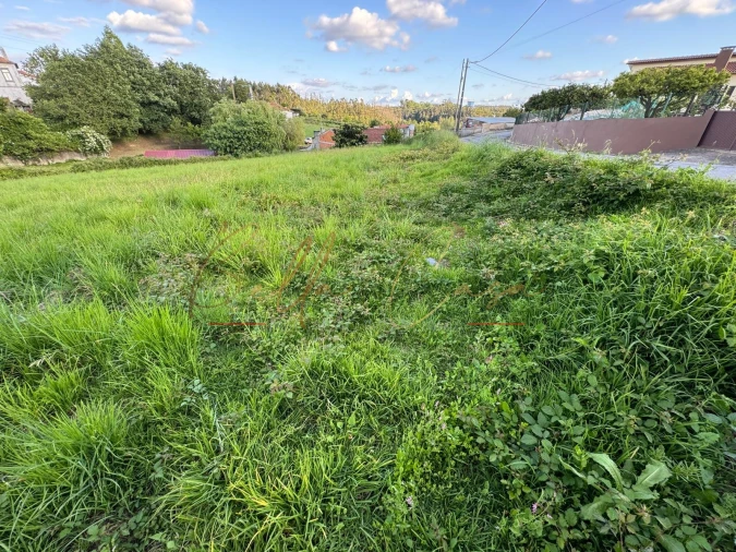 Terreno Misto para Venda em Beduído e Veiros Foto 5