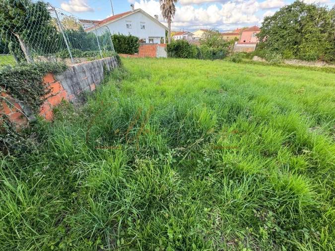 Terreno Misto para Venda em Beduído e Veiros Foto 3