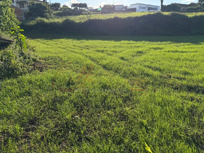 Terreno Misto para Venda em Beduído e Veiros Foto 15