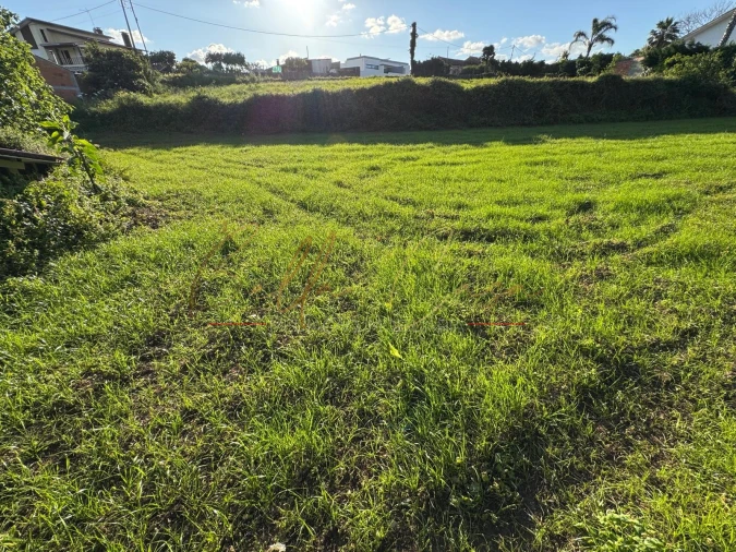Terreno Misto para Venda em Beduído e Veiros Foto 12
