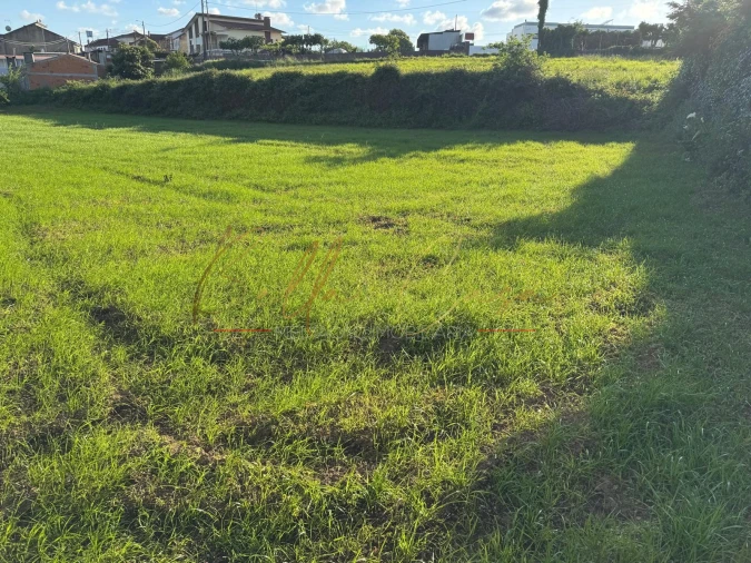 Terreno Misto para Venda em Beduído e Veiros Foto 18