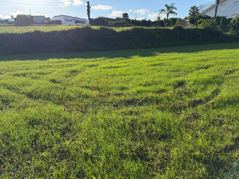 Terreno Misto para Venda em Beduído e Veiros Foto 14