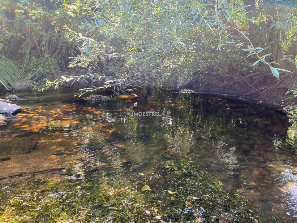 Quinta T0 para Venda em Ervedal e Vila Franca da Beira Foto 8