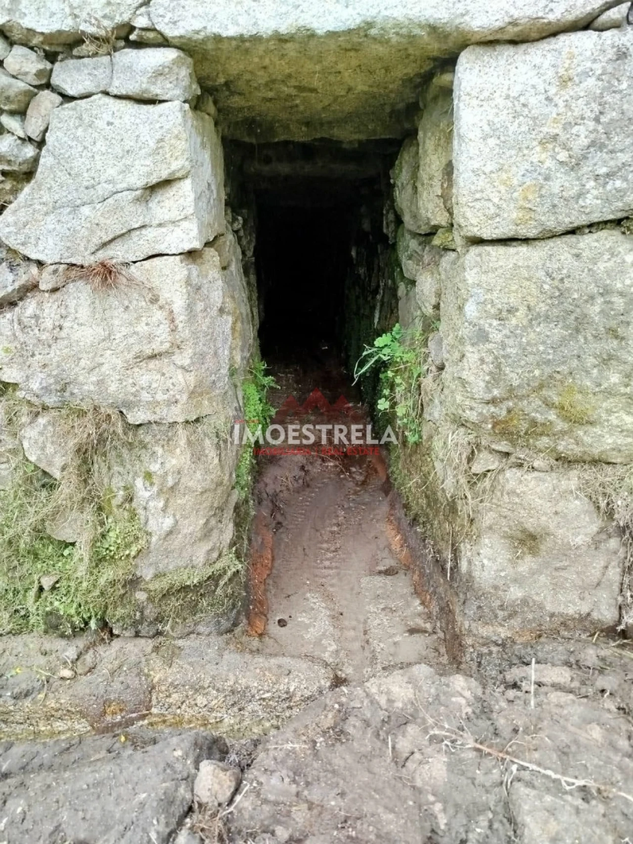 Quinta T0 para Venda em Ervedal e Vila Franca da Beira Foto 11