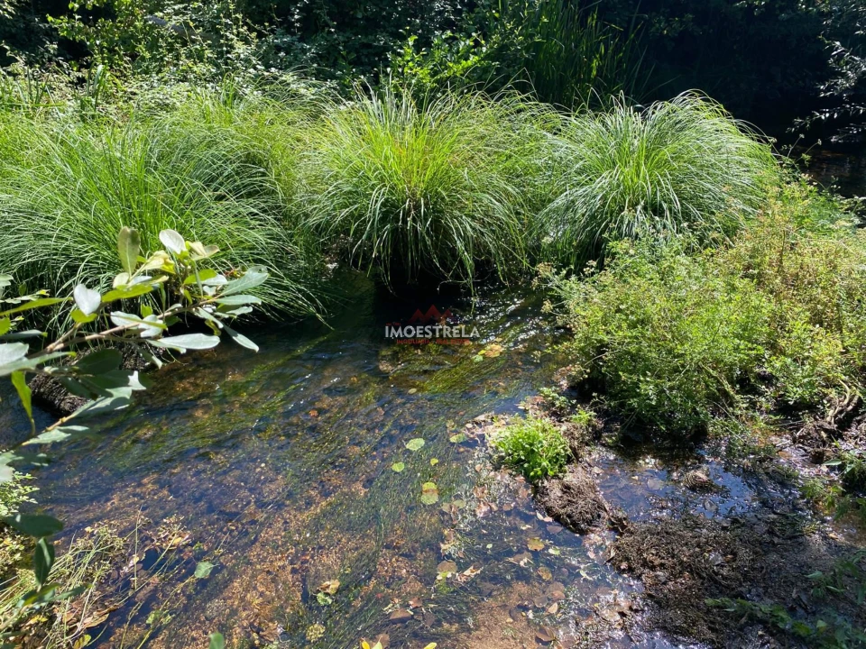 Quinta T0 para Venda em Ervedal e Vila Franca da Beira Foto 6