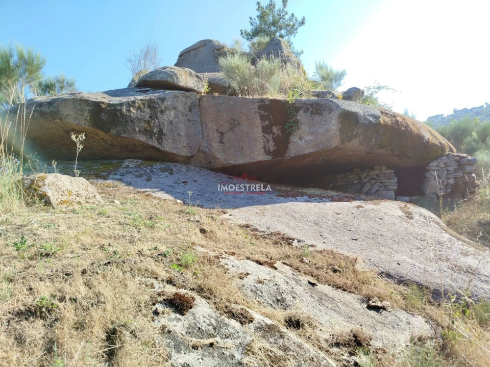 Quinta T0 para Venda em Ervedal e Vila Franca da Beira Foto 10