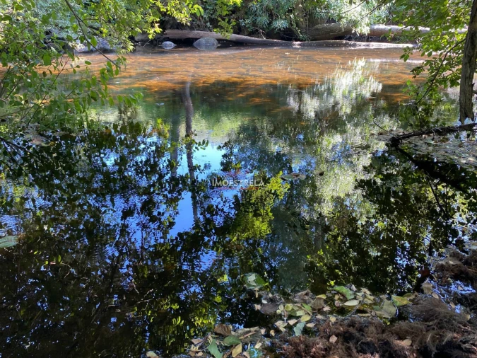 Quinta T0 para Venda em Ervedal e Vila Franca da Beira Foto 3