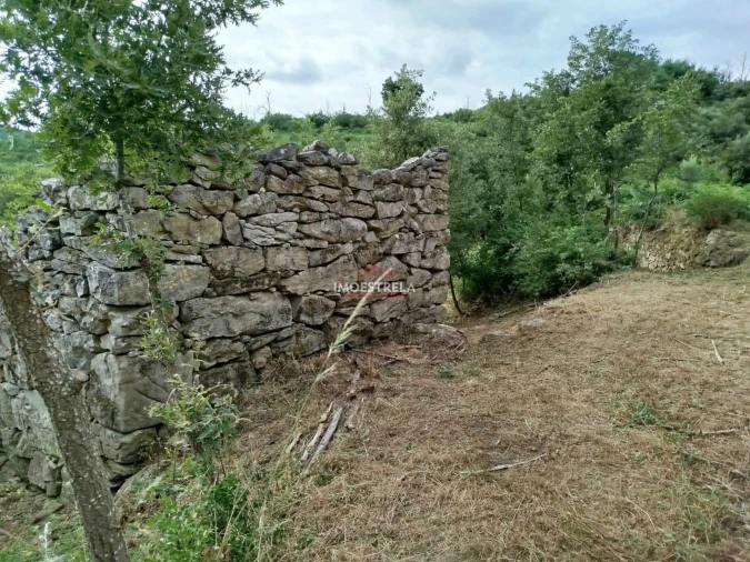 Quinta T0 para Venda em Ervedal e Vila Franca da Beira Foto 12