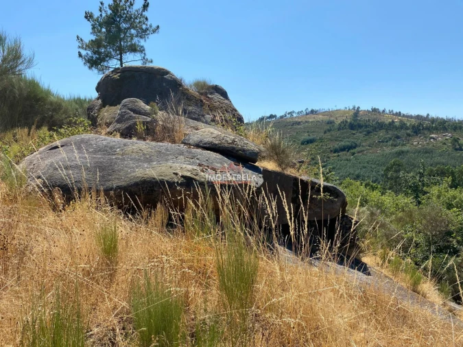 Quinta T0 para Venda em Ervedal e Vila Franca da Beira Foto 5