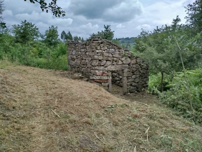 Quinta T0 para Venda em Ervedal e Vila Franca da Beira Foto 4