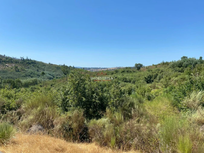 Quinta T0 para Venda em Ervedal e Vila Franca da Beira Foto 14