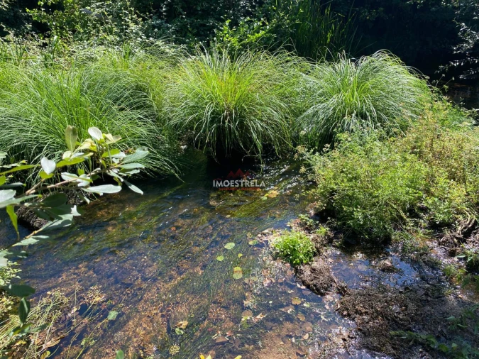 Quinta T0 para Venda em Ervedal e Vila Franca da Beira Foto 6